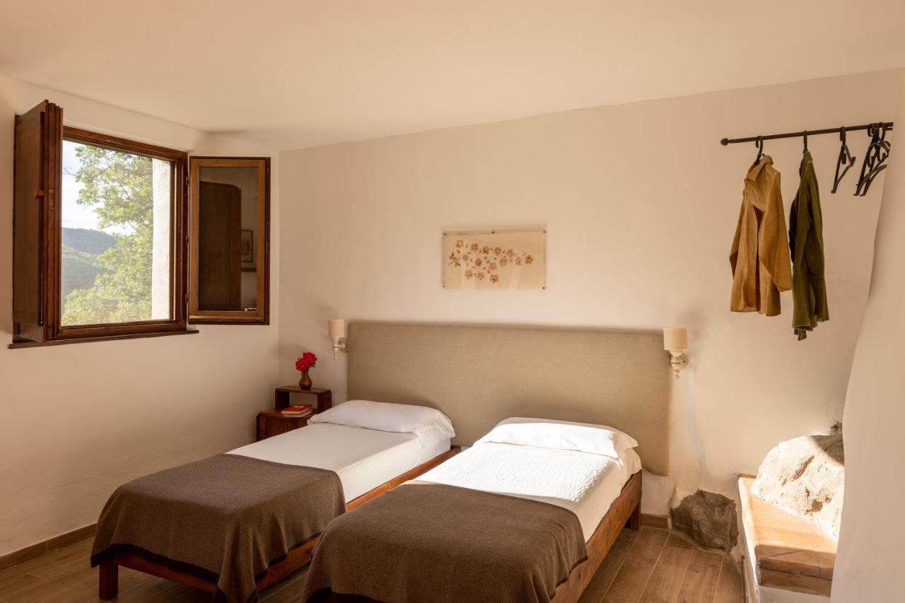 Bed And Breakfast Le Pianore Cinigiano Exterior foto