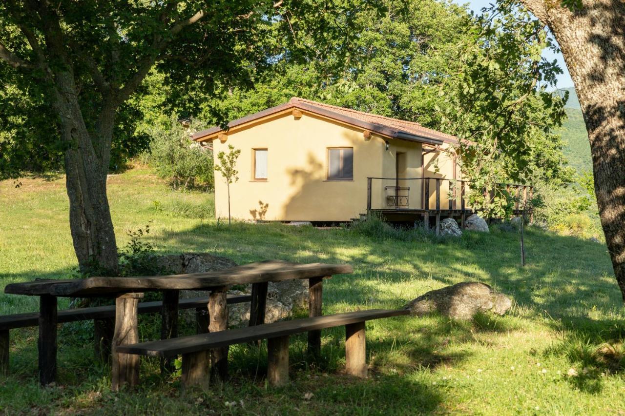 Bed And Breakfast Le Pianore Cinigiano Exterior foto